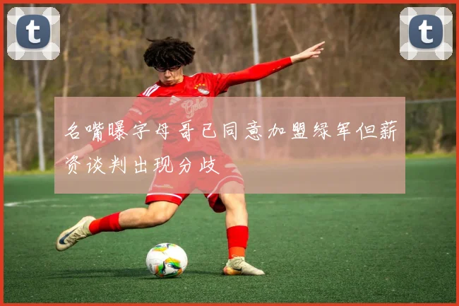 名嘴曝字母哥已同意加盟绿军但薪资谈判出现分歧